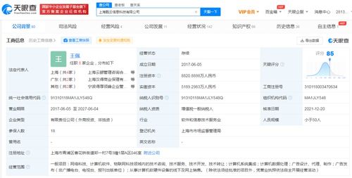 電子產(chǎn)品的技術(shù)開(kāi)發(fā)與銷(xiāo)售 創(chuàng)新驅(qū)動(dòng)與市場(chǎng)策略